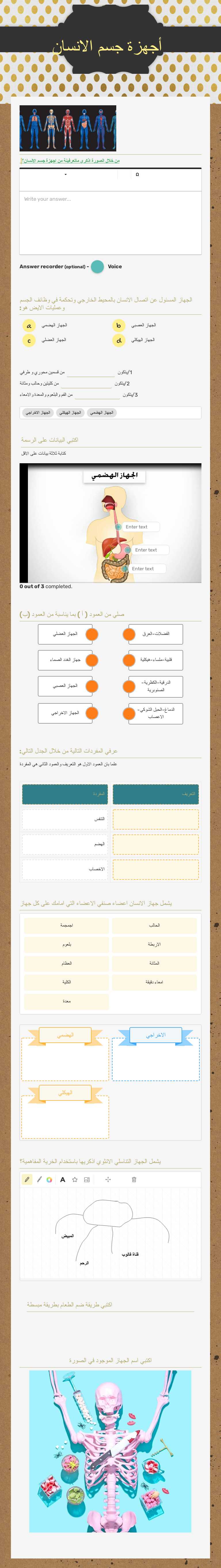 أجهزة جسم الانسان worksheet preview image