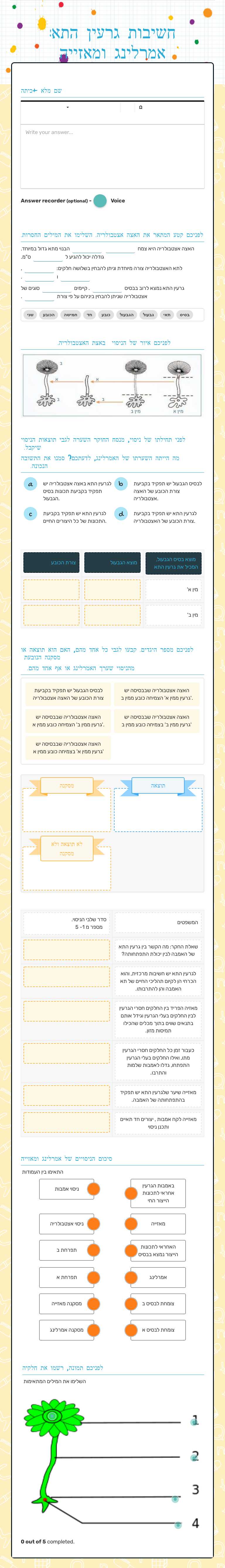 חשיבות גרעין התא: אמרלינג ומאזייה worksheet preview image