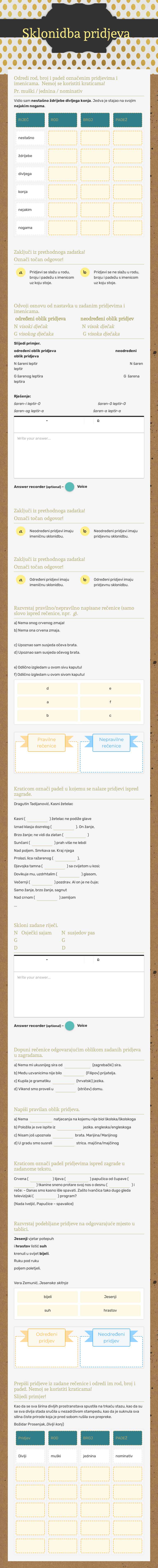 Sklonidba pridjeva worksheet preview image
