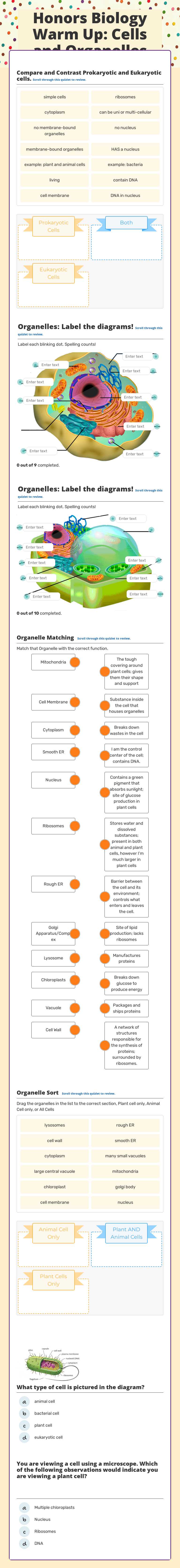 Honors Biology Warm Up: Cells and Organelles worksheet preview image