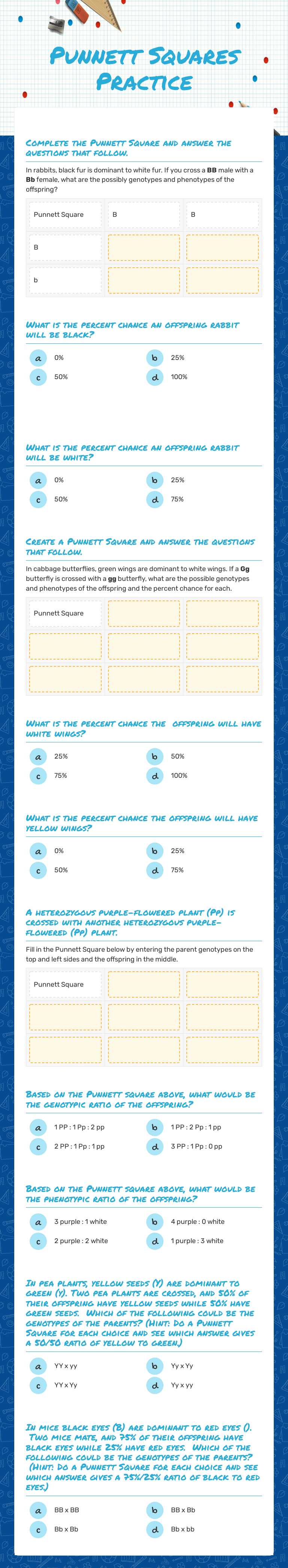 Punnett Squares Practice worksheet preview image
