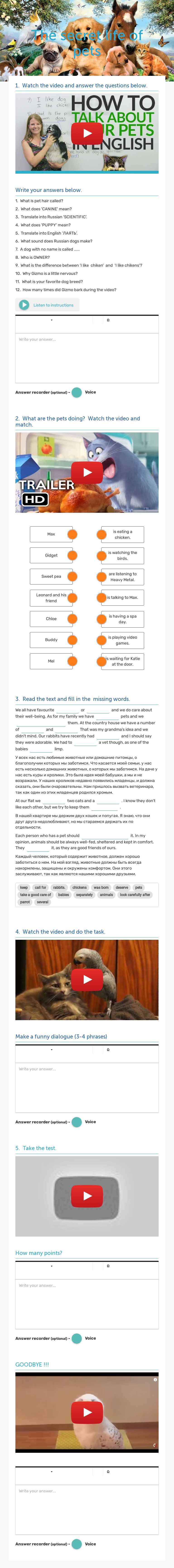 The secret life of pets Grade 10 worksheet preview