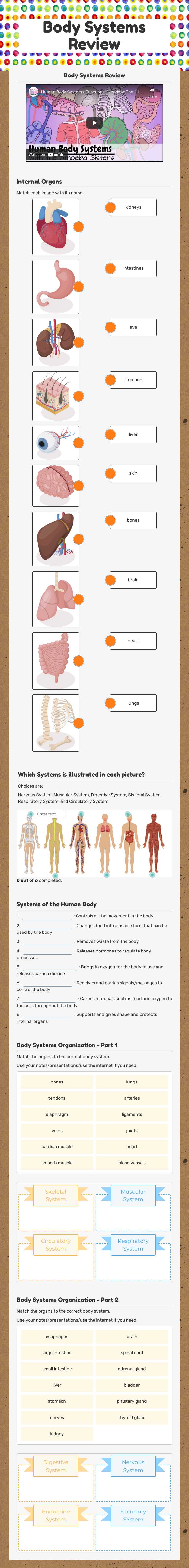Body Systems Review worksheet preview image
