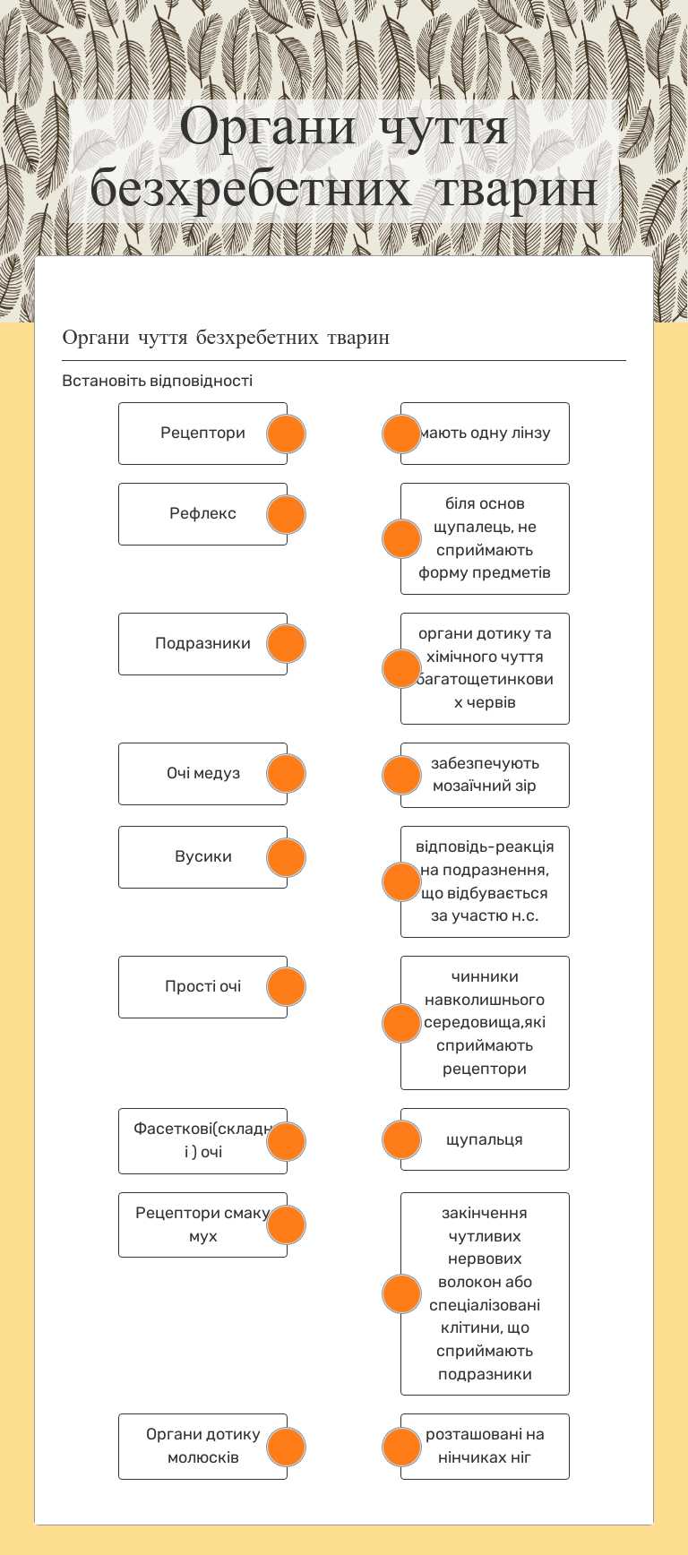 Органи чуття безхребетних тварин worksheet preview