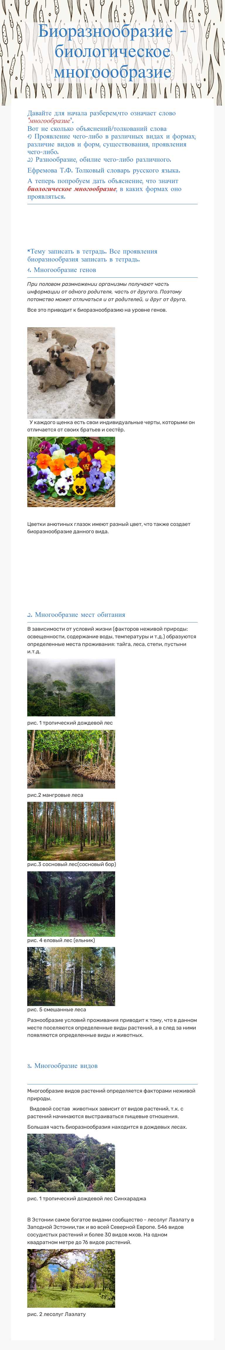 Биоразнообразие - биологическое многоообразие worksheet preview image