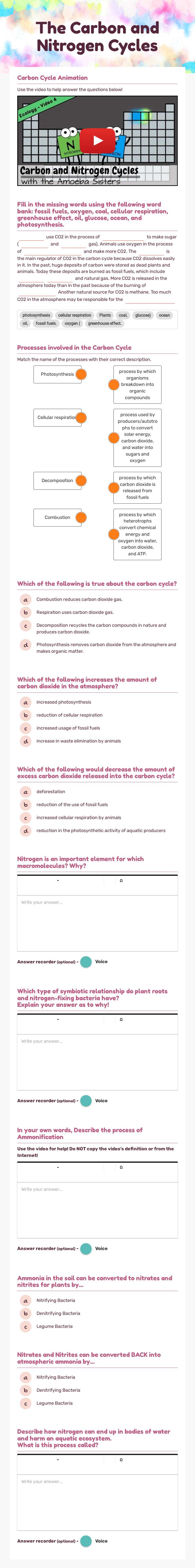 The Carbon and Nitrogen Cycles worksheet preview image