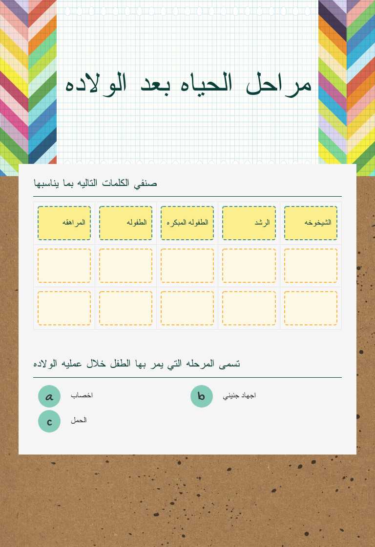 مراحل الحياه بعد الولاده worksheet preview image