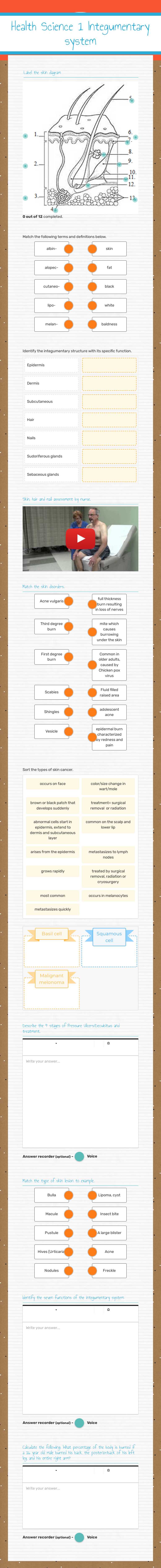 Health Science 1
 Integumentary system worksheet preview image