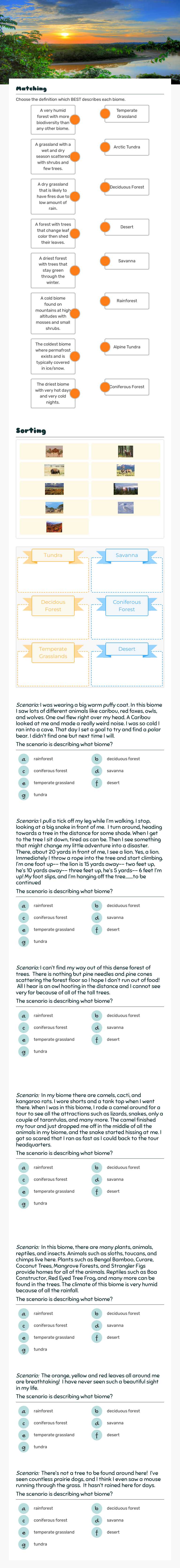 Terrestrial Biomes worksheet preview image