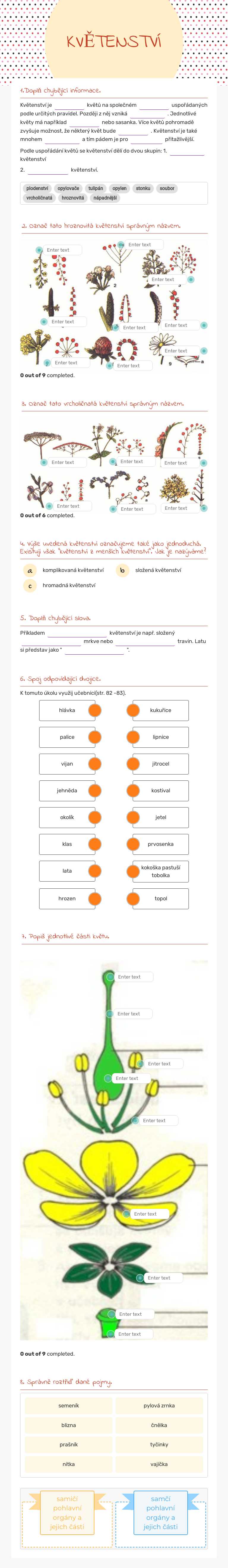 KVĚTENSTVÍ worksheet preview