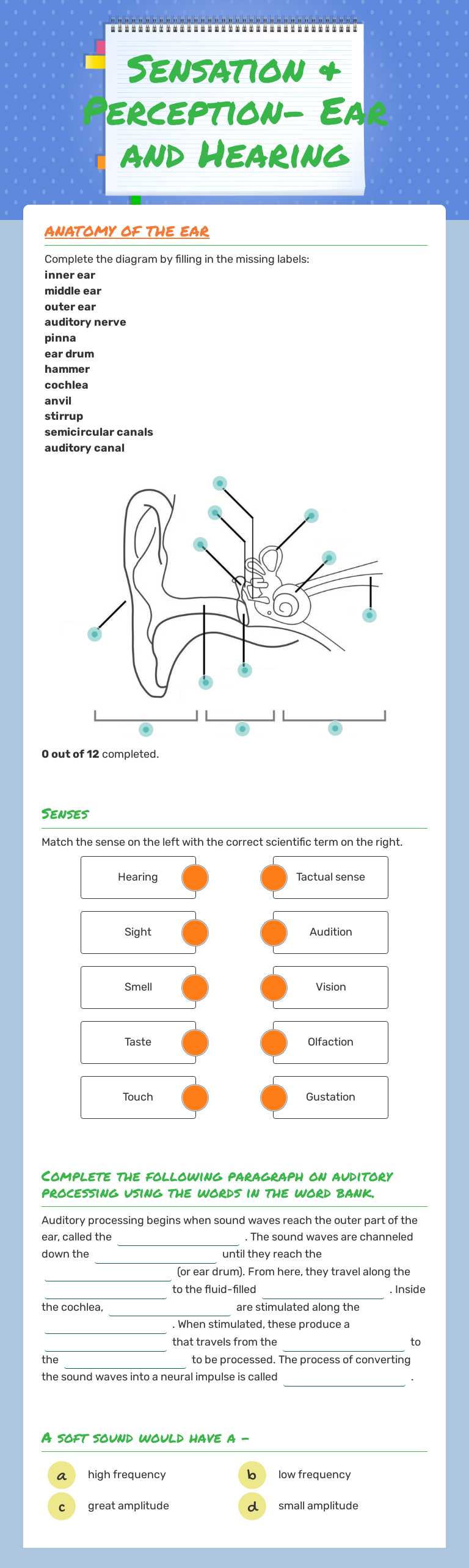 Sensation & Perception- Ear and Hearing worksheet preview image