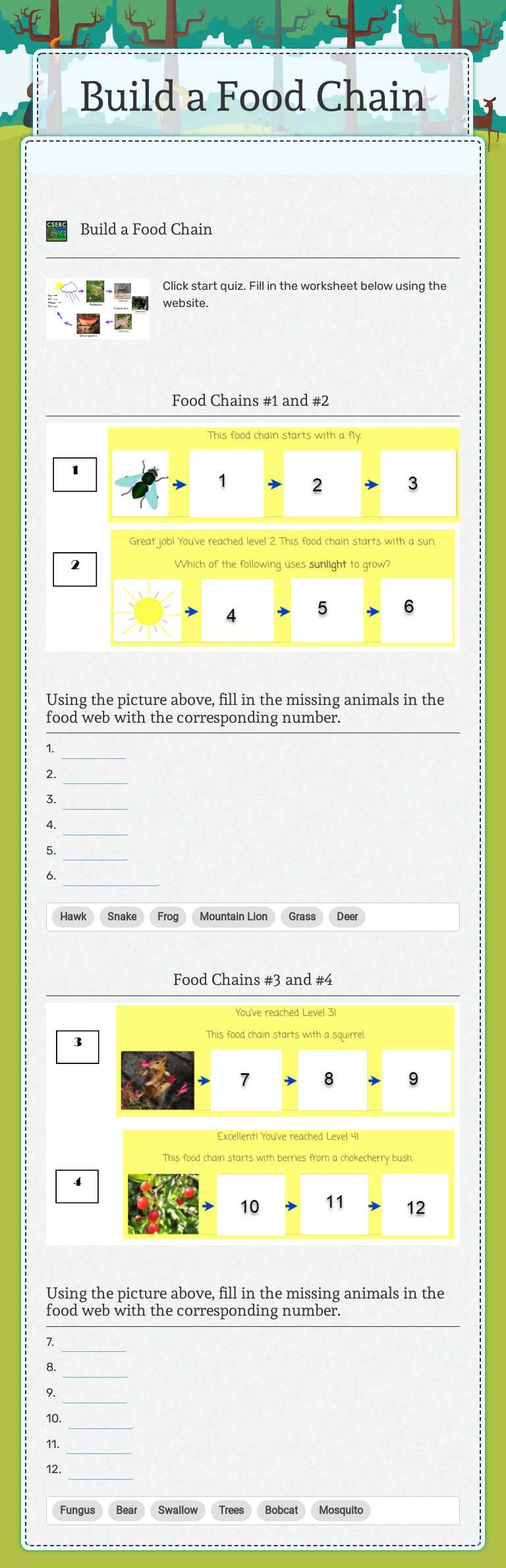 Build a Food Chain worksheet preview image