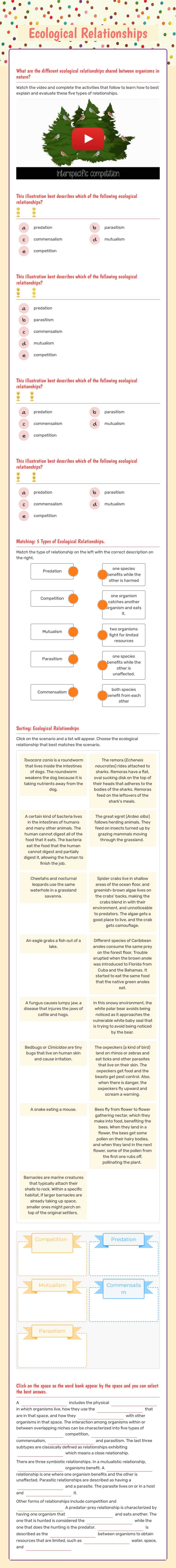 Ecological Relationships worksheet preview image