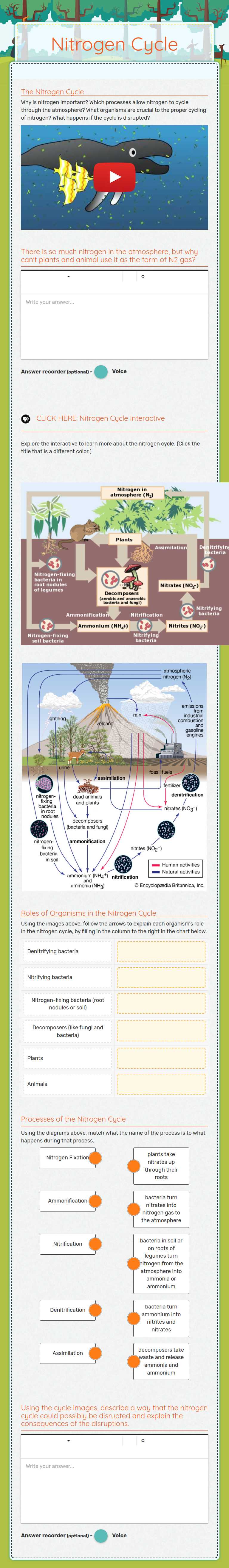 Nitrogen Cycle worksheet preview image