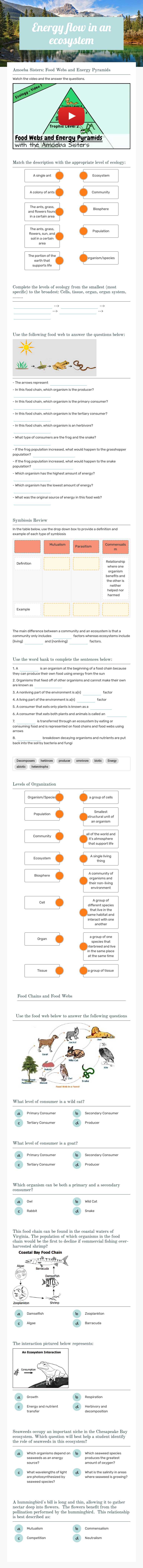 Energy flow in an ecosystem Grade 10 worksheet preview
