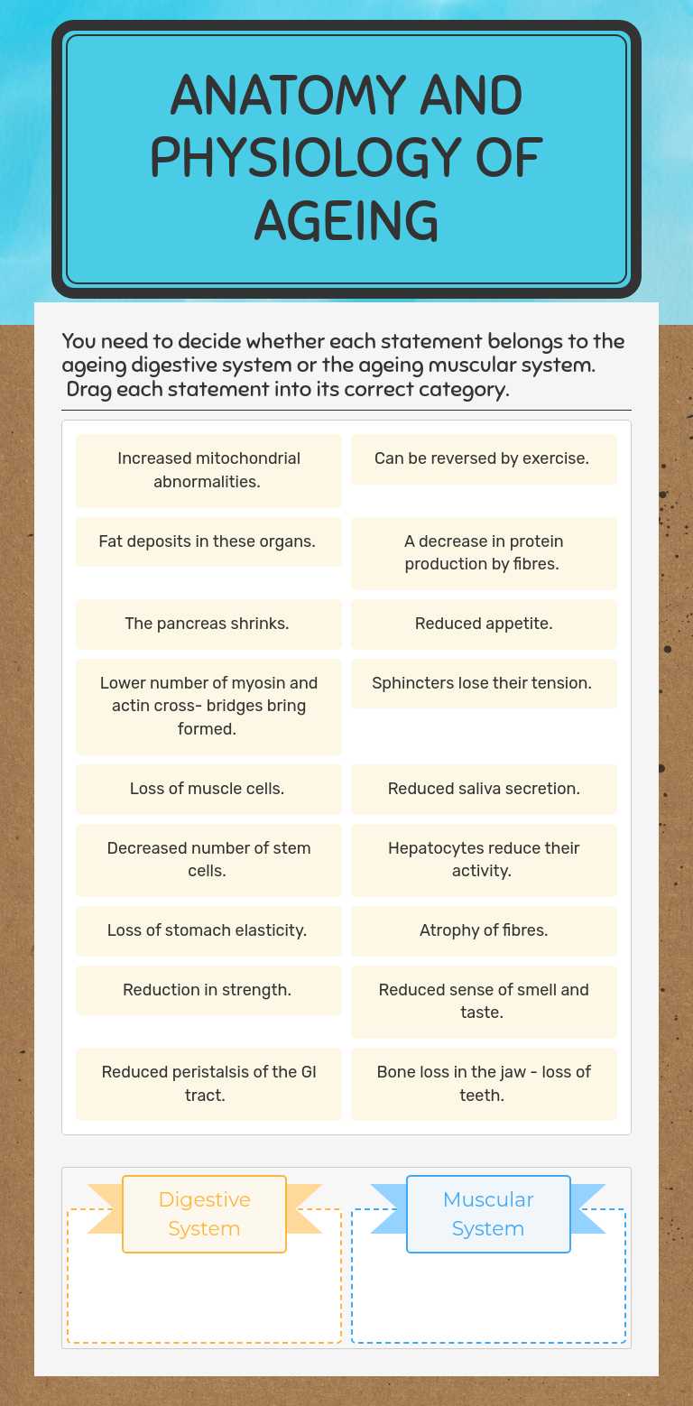 Anatomy and physiology of ageing worksheet preview image