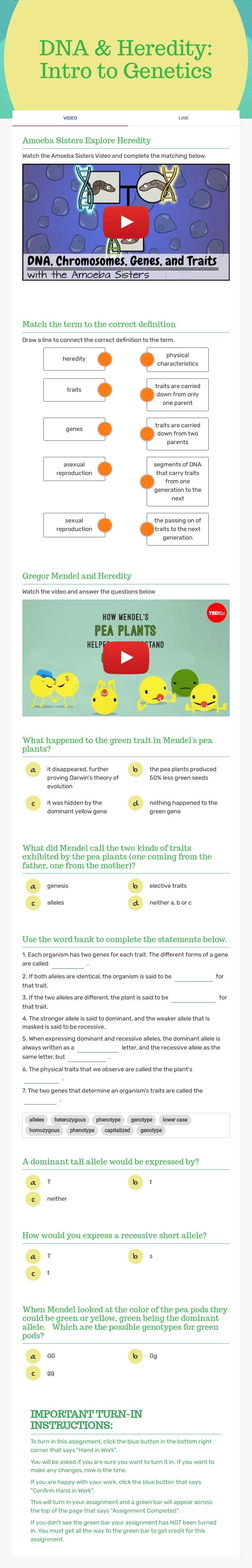DNA & Heredity: Intro to Genetics worksheet preview image