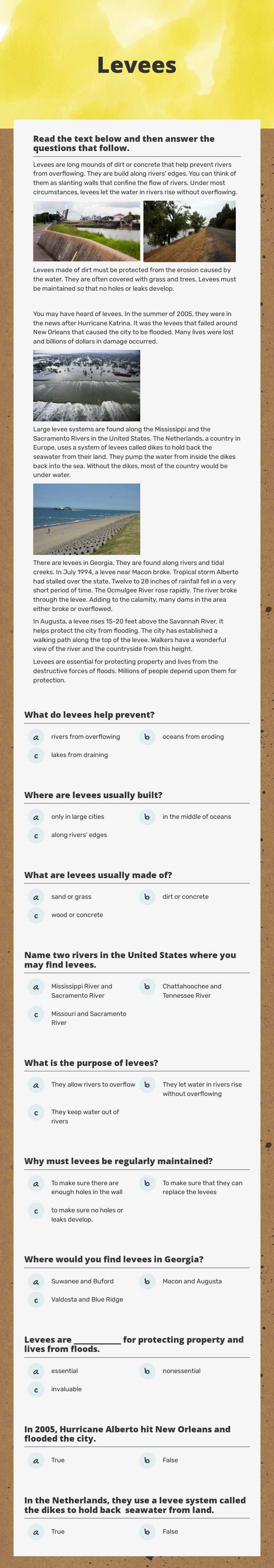 Levees worksheet preview image