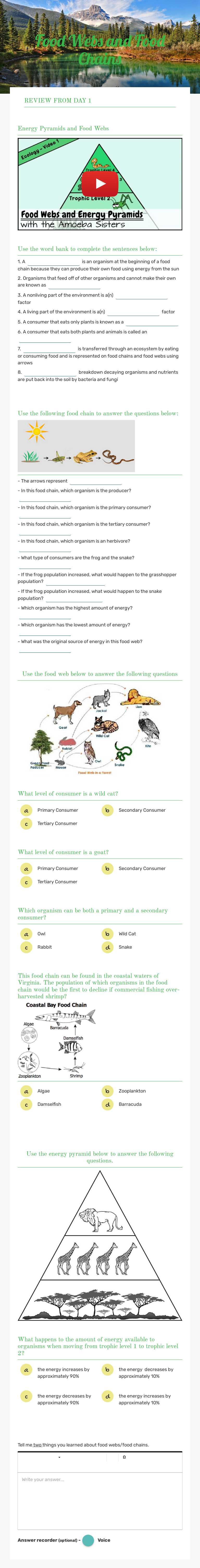 Food Webs and Food Chains Grade 10 worksheet preview