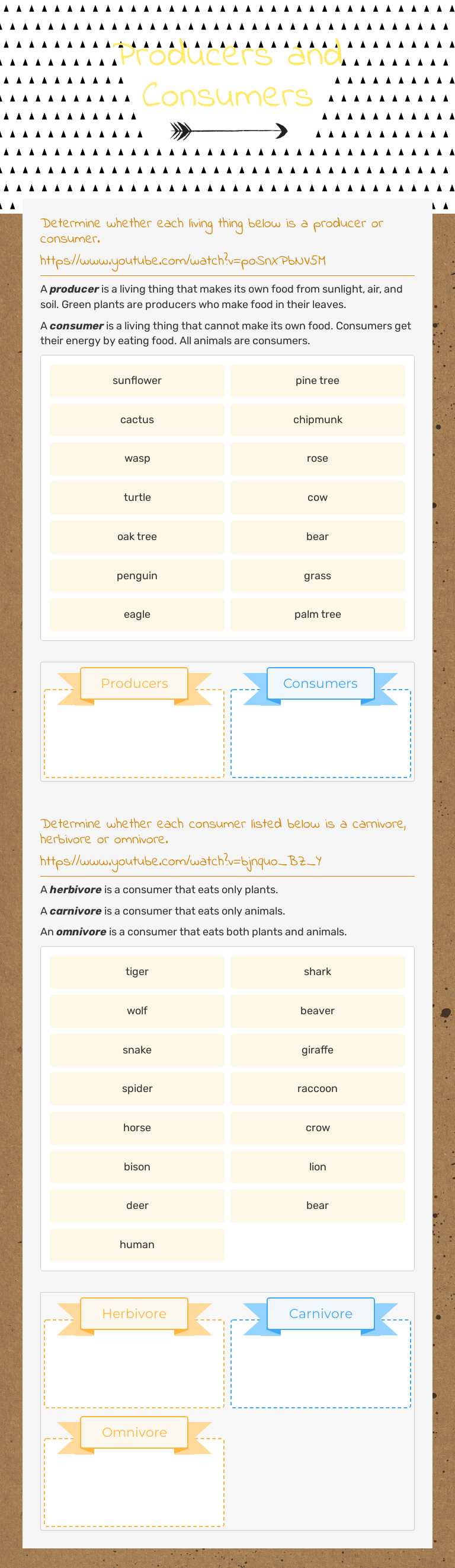 Producers and Consumers worksheet preview image