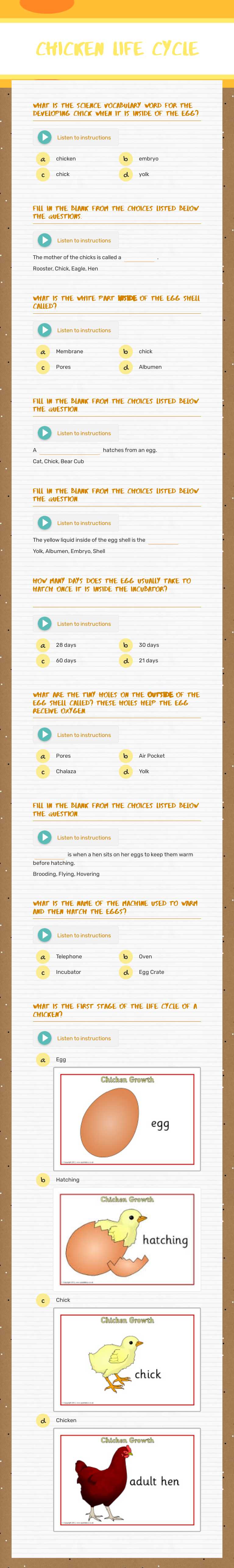 Chicken Life Cycle worksheet preview image