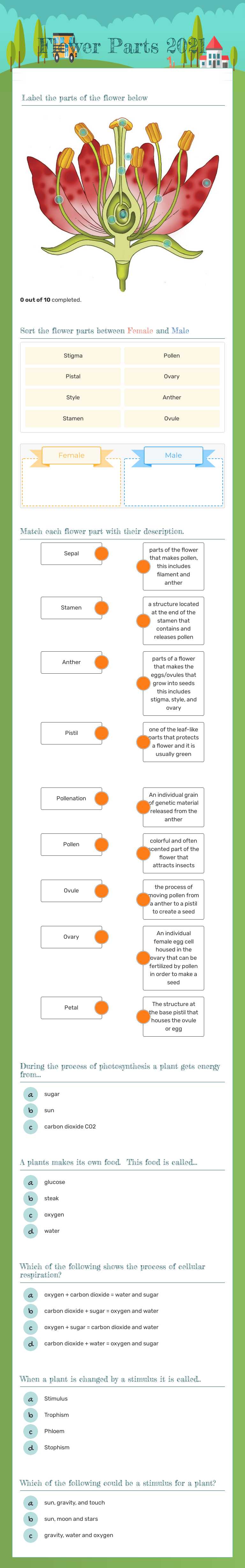 Flower Parts 2021 worksheet preview image