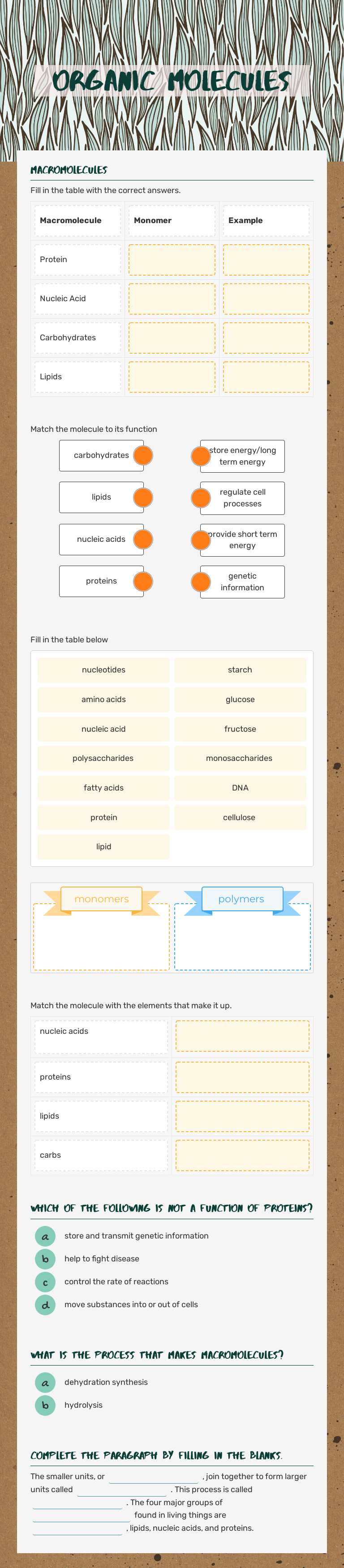 Organic Molecules worksheet preview image