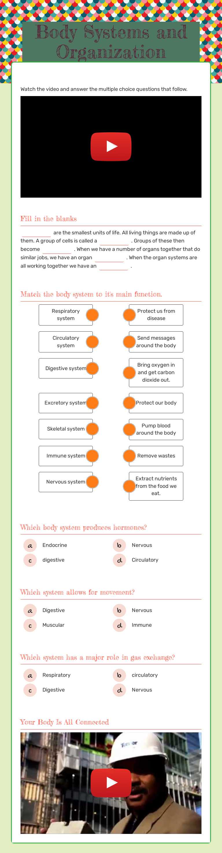 Body Systems and Organization worksheet preview image