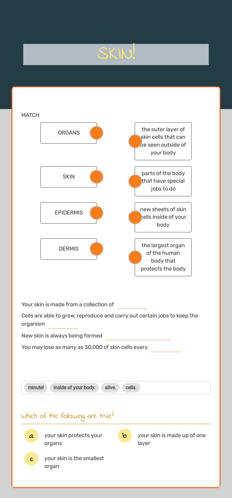 SKIN! worksheet preview image