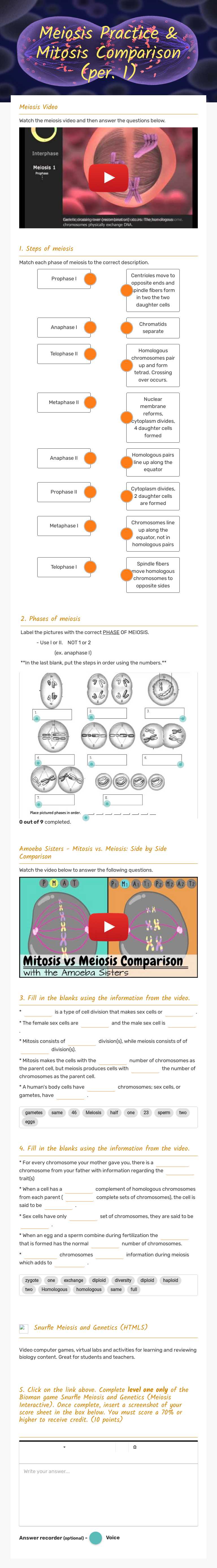 Meiosis Practice & Mitosis Comparison (per. 1) worksheet preview image