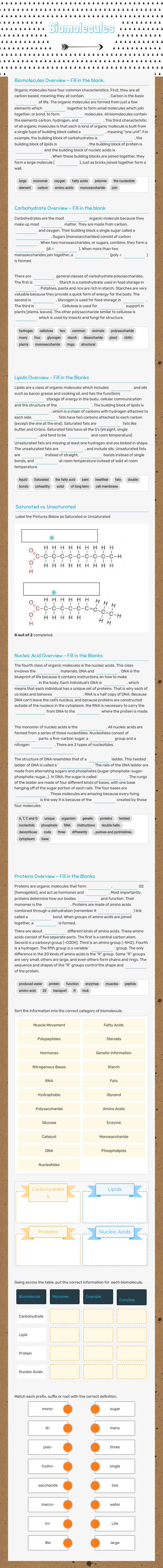 Biomolecules worksheet preview image