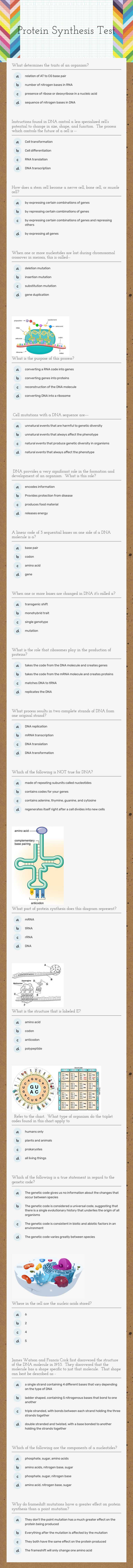 Protein Synthesis Test worksheet preview image