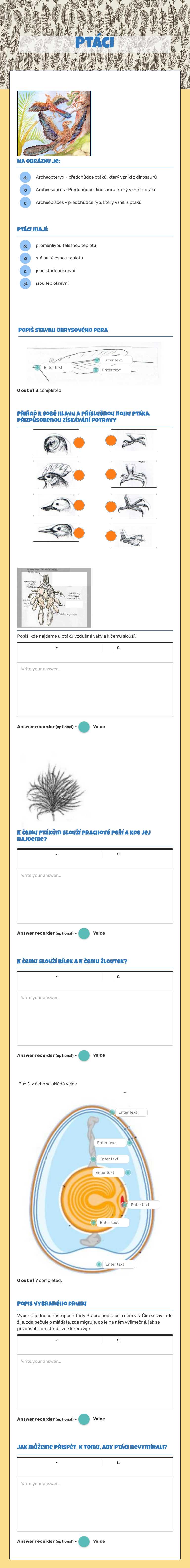 Ptáci worksheet preview image