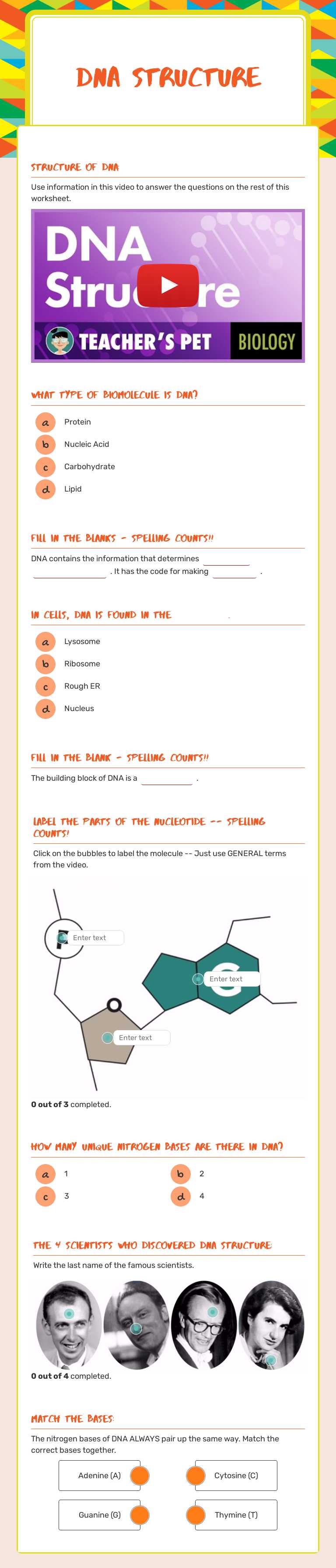 DNA Structure Grade 10 worksheet preview