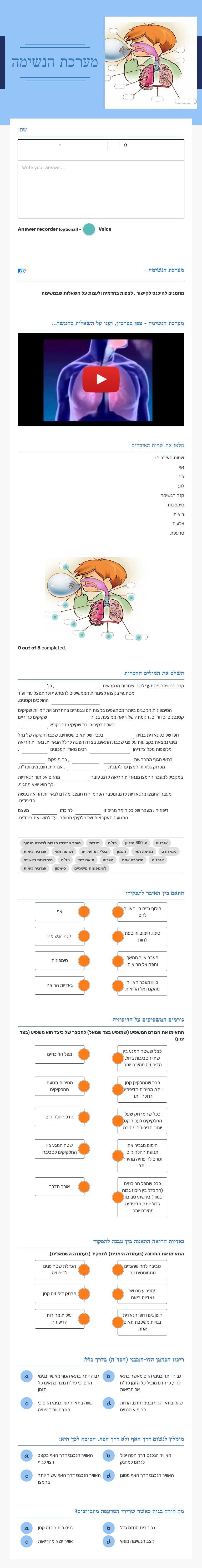 מערכת הנשימה worksheet preview image