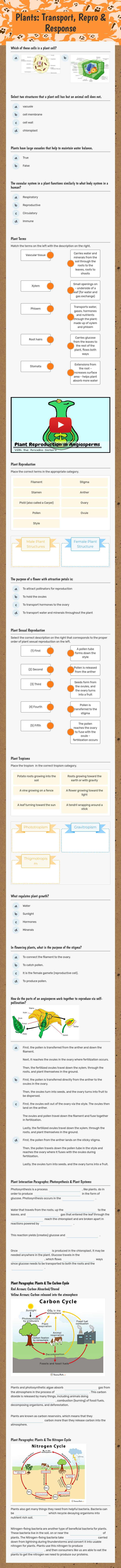 Plants: Transport, Repro & Response worksheet preview image