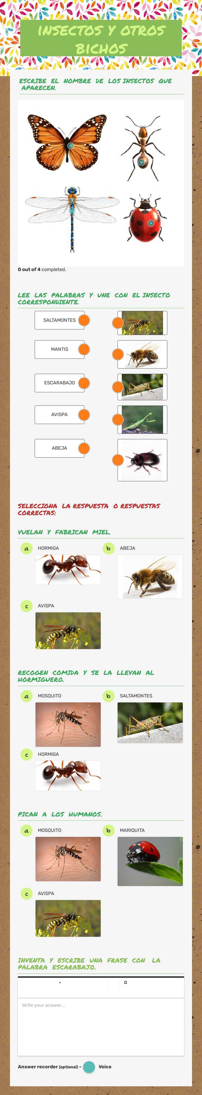 insectos y otros bichos worksheet preview image