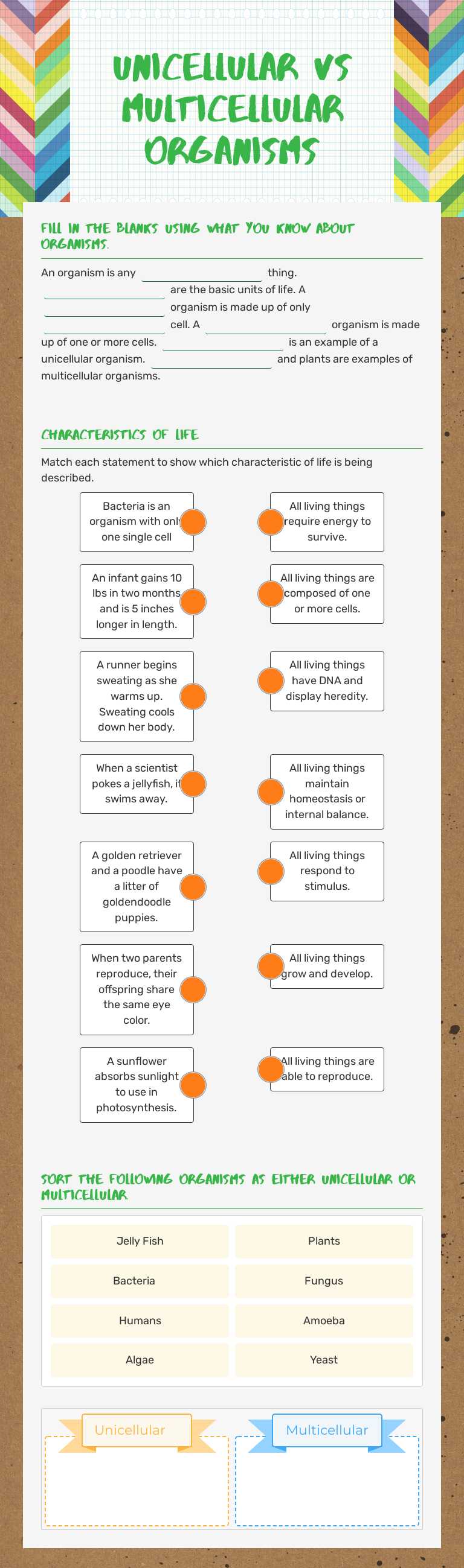 Unicellular vs multicellular Organisms worksheet preview image