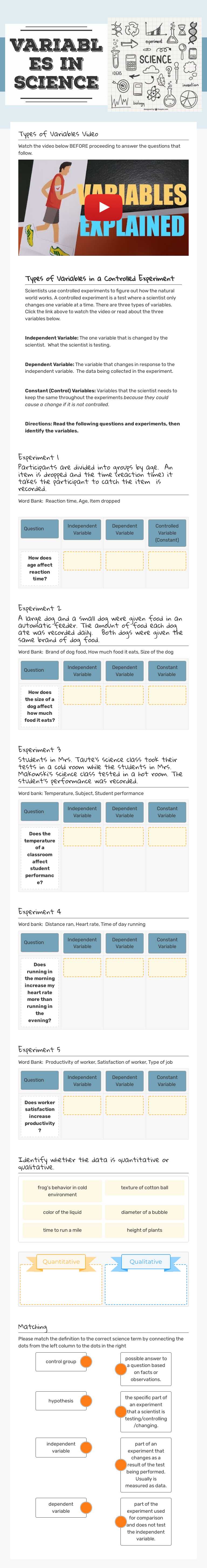 Variables in Science worksheet preview image