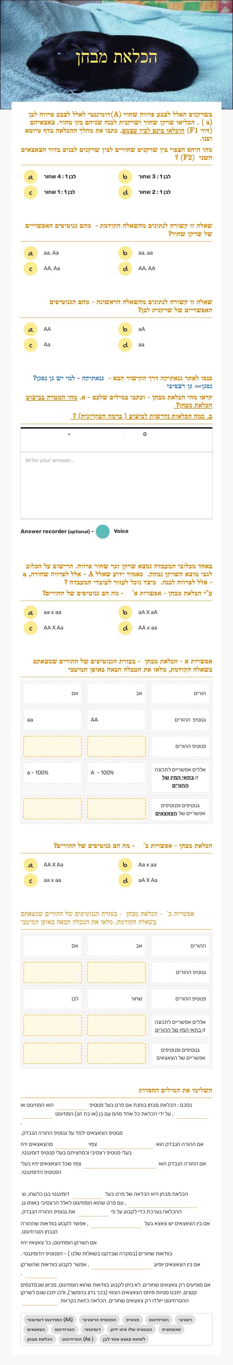 הכלאת מבחן worksheet preview image