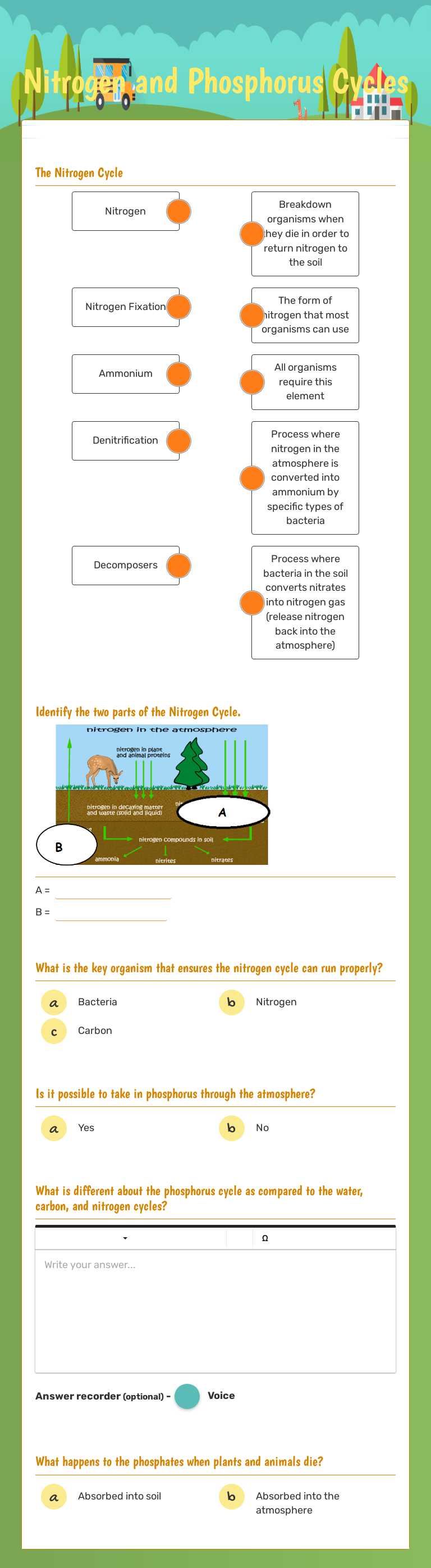 Nitrogen and Phosphorus Cycles worksheet preview image