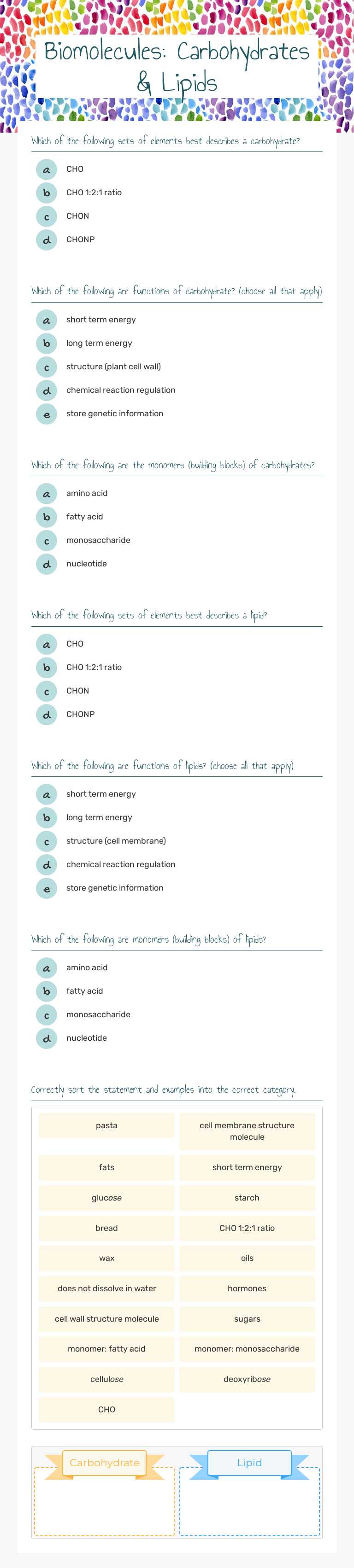 G11 GHS: Biomolecules:          Carbohydrates & Lipids worksheet preview image