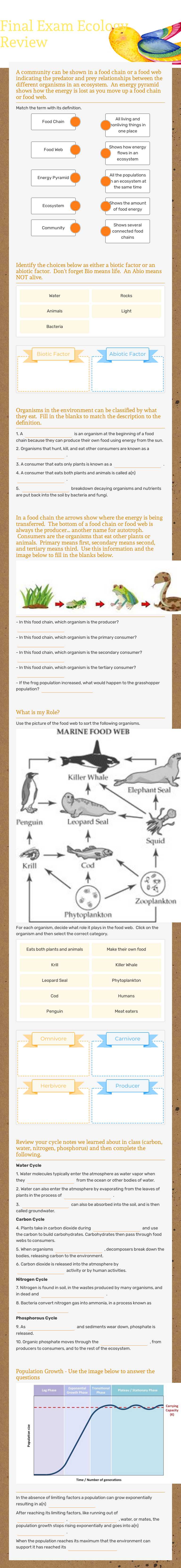 Final Exam  Ecology Review worksheet preview image