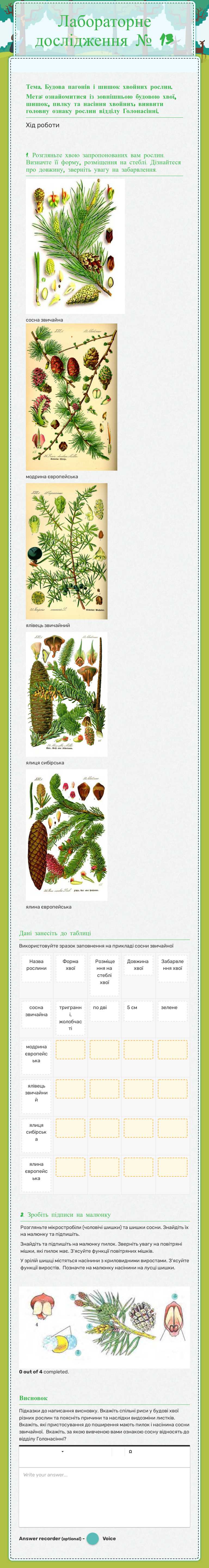 Лабораторне дослідження № 13 worksheet preview image