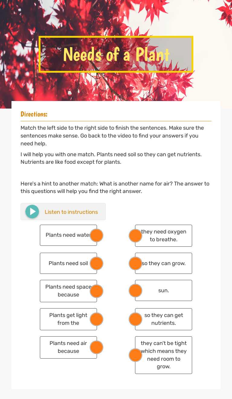 Needs of a Plant Grade 1 worksheet preview