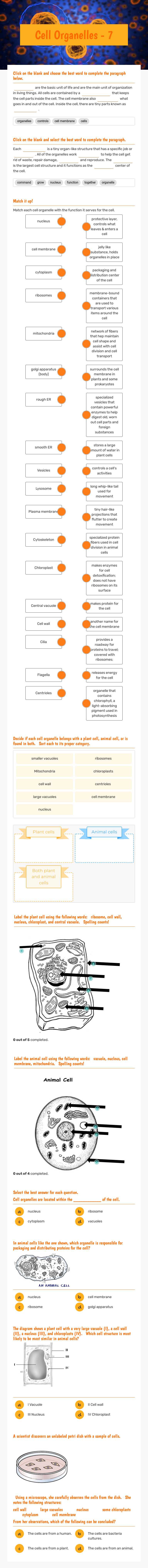 Cell Organelles - 2 worksheet preview image