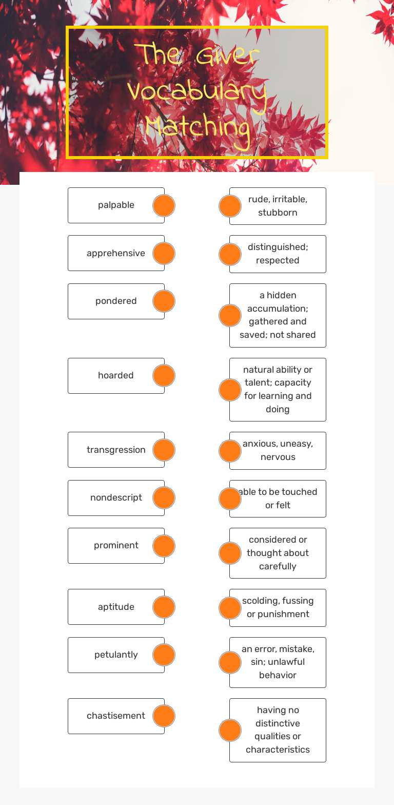 The Giver Vocabulary Matching worksheet preview image