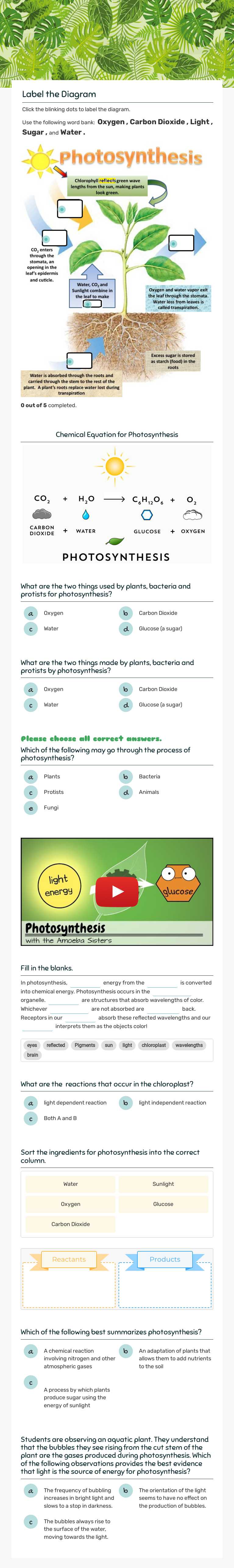 PHOTOSYNTHESIS Grade 7 worksheet preview