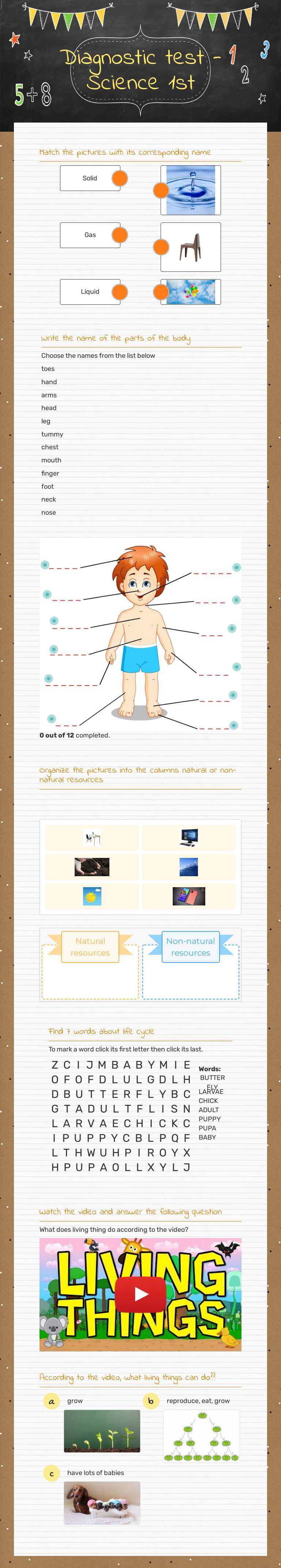 Diagnostic test - Science 1st worksheet preview image