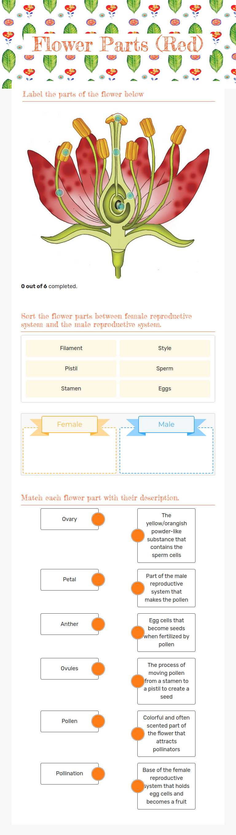 Flower Parts                       (Red) worksheet preview image